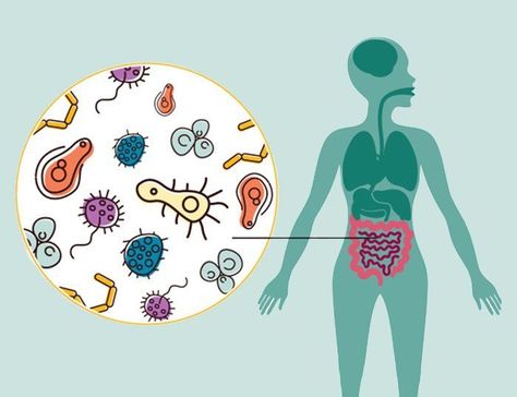 Microbiota y su influencia en nuestra salud Doctor Wallpaper Medical, Wallpaper Medical, Doctor Wallpaper, Flow Chart Design, Goodnotes Covers, Clouds Wallpaper Iphone, Health Images, Low Estrogen, Cloud Wallpaper