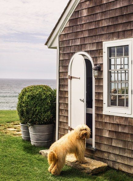 Small Beach Cottage, Montauk Lighthouse, Shingle Style Homes, Cottage By The Sea, Beach Retreat, Beach Cottage Style, Summer Cottage, Dream Beach, Hamptons Style