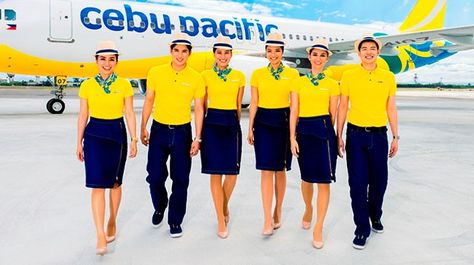 Cebu Pacific Flight Attendant, Cebu Pacific Airlines, Dream Studies, Pacific Airlines, Cebu Pacific, Flight Attendant Life, Feminine Skirt, Airline Flights, Crew Members