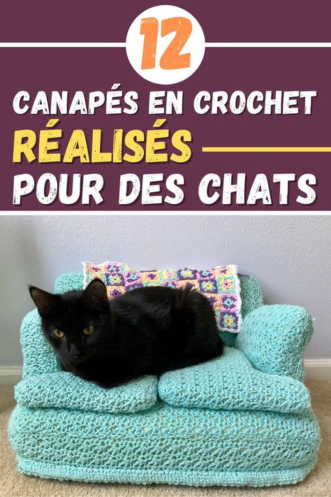 12 beaux canapés en crochet réalisés pour des chats Crochet