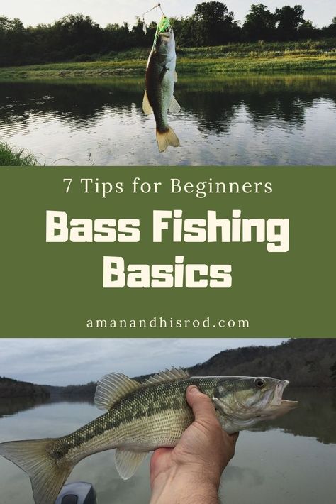 Bass Fishing Basics - 7 Tips Every Beginner Should Know | A Man & His Rod Fishing Basics, Largemouth Bass Fishing, Fishing 101, Fishing For Beginners, Fly Fishing Tips, Bass Fishing Lures, Bass Fishing Tips, Fishing Pictures, Fishing Techniques