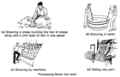 Fibre to Fabric Class 7 Notes Science Chapter 3 - Learn CBSE  #CBSEClass7ScienceNotes #FibretoFabricNotesofClass7 6 Simple Machines, Simple Machines Unit, Simple Machine Projects, Wheel And Axle, Pulleys And Gears, Inclined Plane, Simple Machine, Primary Science, 4th Grade Science