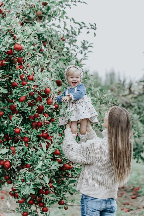 Orchard photo orchard photo shoot  Photography apples orchard Apple Picking Photography, Apple Picking Pictures, Apple Orchard Photography, Apple Orchard Pictures, Apple Picking Photos, Orchard Photography, Fall Baby Photos, Baby Holiday Photos, Fall Baby Pictures