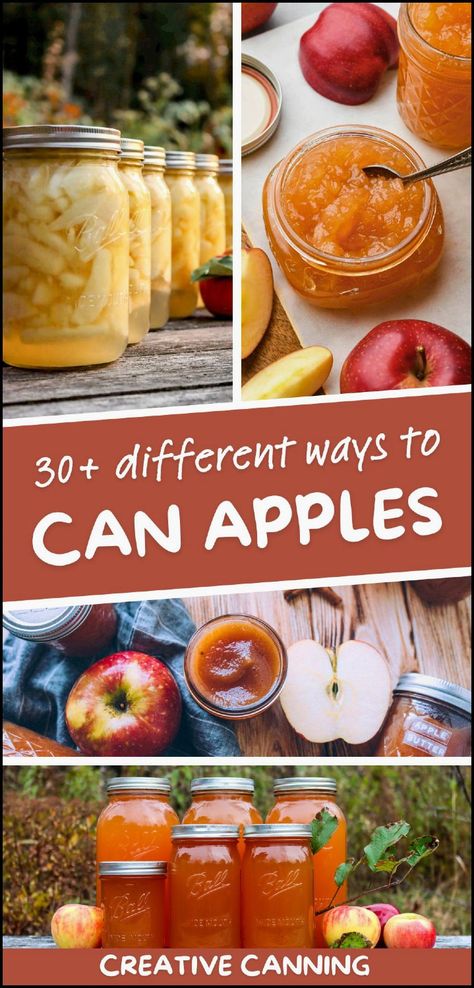 Explore 30+ different ways to can apples for a diverse selection of apple-inspired preserves. Whether you love applesauce, pie filling, or even spiced apple butter, these recipes are ideal for fall canning. Find more apple recipes, apple desserts, preserving apples, and Canning Recipes for Beginners at creativecanning.com. Water Bath Canning Apples, Lots Of Apples What To Do With, Canning Applesauce Water Bath, Unique Carrot Cake, Applesauce Pie, Apple Cider Jelly, Fruit Preserves Recipe, Apple Canning Recipes, Preserving Produce