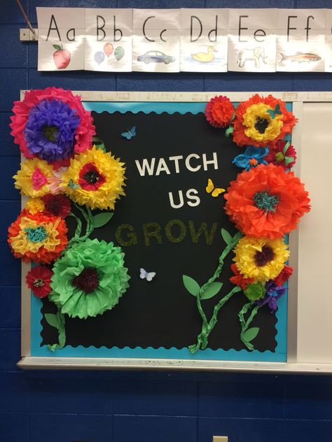 Preschool bulletin board. Watch us grow. #ECE #preschool #bulletinboard #sensory #classroom #decorations Growing Bulletin Board, When I Grow Up Bulletin Board, Ready To Grow Together Bulletin Board, Ready Set Grow Bulletin Board, Data Bulletin Boards, When We Learn We Grow Bulletin Board, Plants Classroom, Birthday Bulletin Boards, Birthday Bulletin