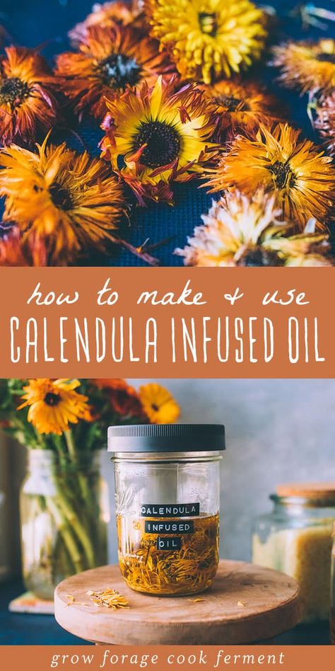 How to Make Calendula Oil & Calendula Oil Uses: Healing Herbal Infusions - Enhance your DIY herbal self care practice with this DIY calendula oil! Made with only the carrier oil of your choice plus calendula flowers. There are many calendula oil benefits for the skin, my favorite being its skin-soothing properties. herbalism for beginners | calendula infused oil | calendula infused oil benefits | calendula uses skin | dried calendula uses | calendula flower uses Calendula Oil Benefits, Calendula Recipes, Infused Oil Recipes, Dried Calendula, Healing Flowers, Healing Skin, Bug Bite, Calendula Benefits, Calendula Flowers