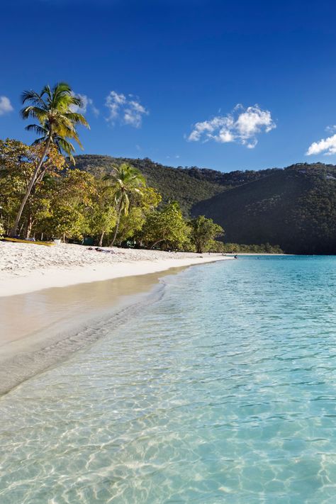 Island Tour with Beach stop in St Thomas Safari Bus, All Inclusive Beach Resorts, St Thomas Virgin Islands, The Us Virgin Islands, Hotel Vacation, Best Vacation Destinations, United States Virgin Islands, Foreign Travel, Crystal Cave