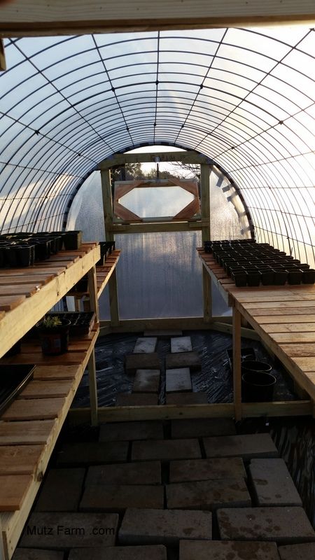 Ultimate Cattle Panel Greenhouse | SufficientSelf - Creating a Sustainable Lifestyle Cattle Panel Greenhouse Plans, Cheap Greenhouse Diy, Cattle Panel Garden, Cattle Panel Greenhouse, Simple Greenhouse, Greenhouse Construction, Cheap Greenhouse, Gardening Tricks, Tunnel Greenhouse