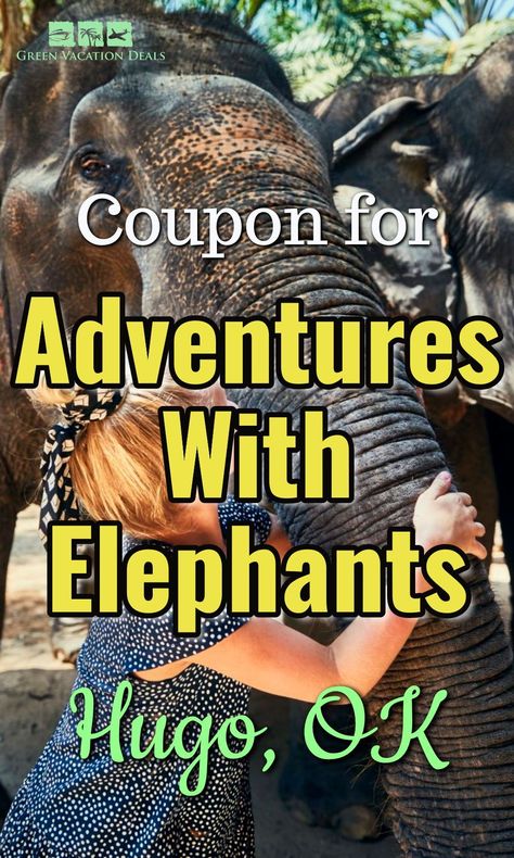 Coupon, promo code, discount ticket price for seeing & feeding Asian elephants with Oklahoma Awesome Adventures in Hugo, OK. All day elephant expedition. #Hugo #Oklahoma #AsianElphants #ElephantExpedition #animallover #Choctaw #OKC #OklahomaCity #Dallas #DallasTX #Texarkana #Shreveport #Plano #McKinney #FortSmith #OK Hugo Oklahoma, Asian Elephants, Oklahoma Travel, Travel Oklahoma, Elephant Sanctuary, Asian Elephant, Vacation Deals, Family Vacations, Free Things To Do