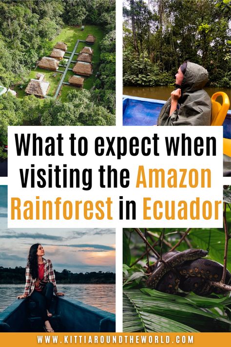 What to expect when visiting the Amazon Rainforest in Ecuador from weather conditions to wildlife, and internet to hot shower options. Ecuadorian Amazon | Visiting the Amazon Rainforest | Cuyabeno Wildlife Reserve Ecuador | How to Visit the Amazon Rainforest in Ecuador | Wildlife in the Amazon Rainforest Amazon Rainforest Travel, Ecuador Rainforest, Shower Options, Ecuador Travel, The Amazon Rainforest, Wildlife Reserve, Amazon Video, Summer 2025, Amazon Rainforest