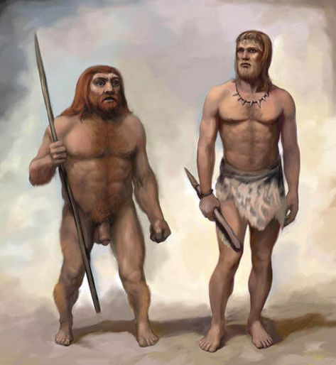 Early Humans, Human Evolution, Hunter Gatherer, Prehistoric Art, Great Ape, Human Species, Prehistoric Animals, Zoology, Anthropology