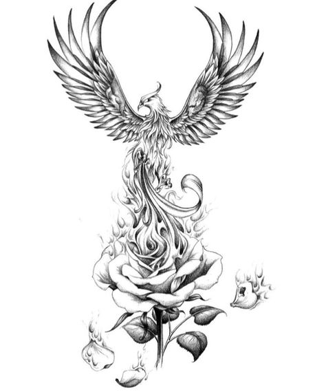 Burning Flower Tattoo Design, Rose And Phoenix Tattoo, Phoenix Burning Tattoo, Burning Pheonix Tattoo, Phoenix With Roses Tattoo, Order Of The Phoenix Tattoo, Phoenix With Lotus Tattoo, Phoenix Tattoo With Flames, Phoenix And Rose Tattoo