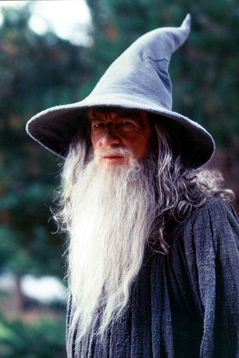 Gandalf Lord Of Rings, John Howe, Long White Hair, Gandalf The Grey, Into The West, Ian Mckellen, Heroic Fantasy, Bilbo Baggins, Fellowship Of The Ring