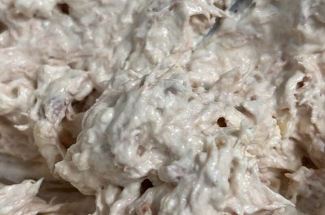 Quick Tuna Dip - Generations Cook Mexican Tuna, Tuna In Oil, Tuna Dip, Fridge Odor, Sour Cream Substitute, Toasted Crostini, Vegetable Dip, Cream Cheese Dip, Olive Salad