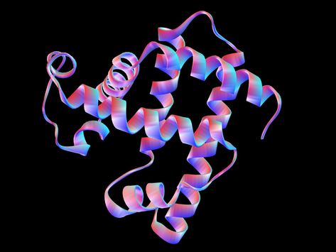 There are four levels of structure found in polypeptides and proteins. Learn about the conformation levels of protein and polypeptide structure. Protein Biology, Molecule Art, Scientific Poster Design, Protein Structure, Pancakes Protein, Science Cartoons, Scientific Poster, Protein Dinner, Science Illustration