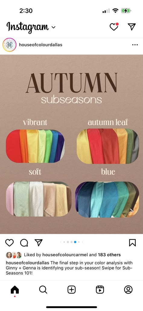 Blue Leaf Autumn, House Of Color Blue Autumn, Vivid Autumn Color Palette, House Of Colour Autumn Leaf, Leaf Autumn Color Analysis, Hoc Autumn Leaf Outfits, Vibrant Autumn House Of Colour, Vibrant Autumn Outfits, Hoc Blue Autumn