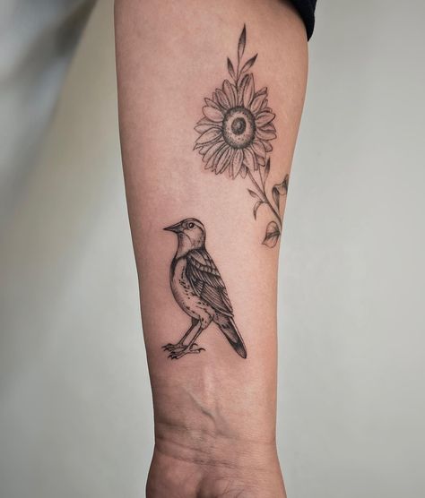 •meadowlark• fresh meadowlark, accompanied by a healed sunflower I did about a year ago 🌼 🌸check the flash sale happening through August🌸 @tenderfootstudio Flash Shop ✨books are open✨ for the end of summer and fall custom designs and flash available #tattoo#tattooartist#nyctattooartist#brooklyntattooartist#femaletattooartist#nyctattoo#brooklyntattoo#finelinetattoo#blackandgreytattoo#floral#tattooflash#birdtattoo#meadowlark End Of Summer, A Year Ago, The Flash, Flash Sale, A Year, The End, Sunflower, Flash, Custom Design