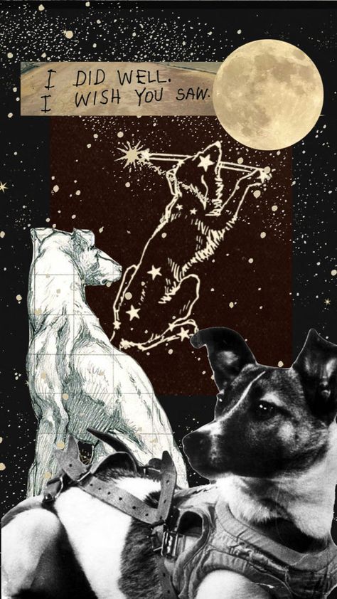 #laikathedog #space #stars #moon #dog Laika Space Dog Drawing, Laika Space Dog Art, Laika Space Dog Poem, Laika Wallpaper, Laika Tattoo, Laika Space Dog, Laika Dog, Space Dogs, Dog Poetry