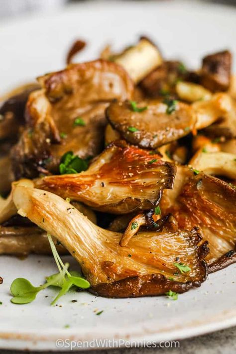 King Oyster Mushroom Recipe, Resep Vegan, Creative Meals, Oyster Mushroom Recipe, Sausage Stuffed Mushrooms, Chocolate Crinkle, Mushroom Recipe, Spend With Pennies, Oyster Mushroom