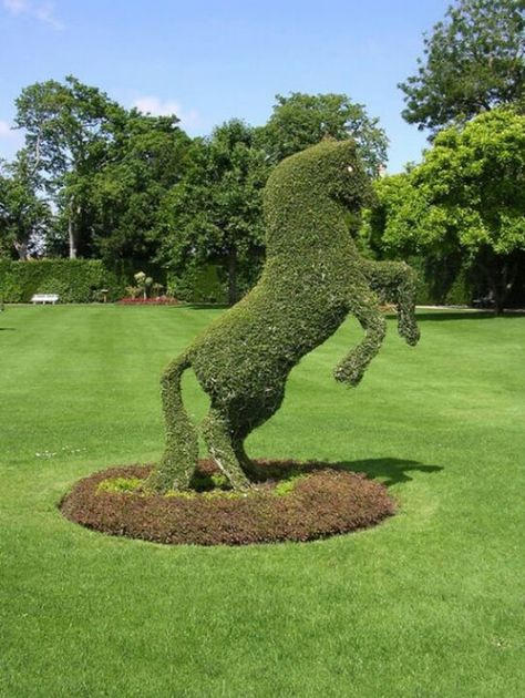 A horse  shaped Tree - Absolutely stunning!  I so want one!  :) Wire Figures, Garden Figures, Topiary Garden, Grass Flower, Image Nature, Flower Sculptures, Topiaries, Formal Gardens, Natural Art