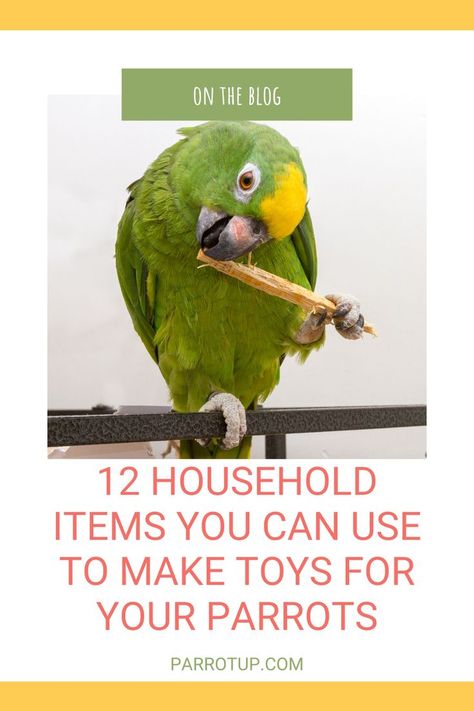 African Grey Parrot Toys, Cockatoo Toys, African Grey Toys, Conure Toys, Homemade Bird Toys, Diy Parrot Toys, Handmade Bird Toys, Conure Bird, Cockatiel Toys