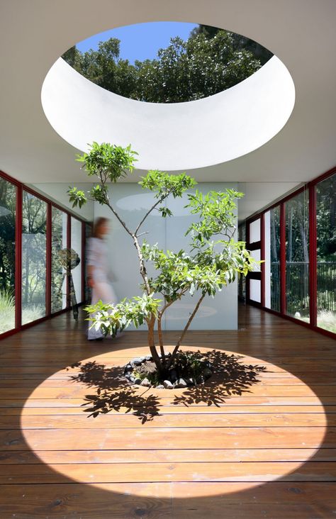 Casa Chinkara, a private residence designed by Solis Colomer Arquitectos in Guatemala City, Guatemala via @HomeDSGN Round Windows, Stone Exterior Houses, Indoor Tree, Guatemala City, Indoor Trees, Indoor Gardens, Patio Interior, Design Del Prodotto, Interior Garden