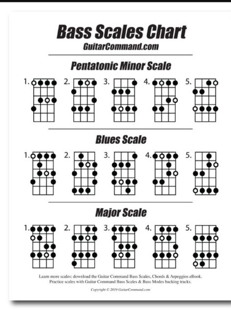 Bass Guitar Chord Chart, Bass Guitar Scales Chart, Bass Guitar Major Scales, Bass Scales Chart, Electric Guitar Scales, Bass Guitar Exercises, Bass Chords For Beginners, Bass Guitar Notes Chart, Bass Exercises