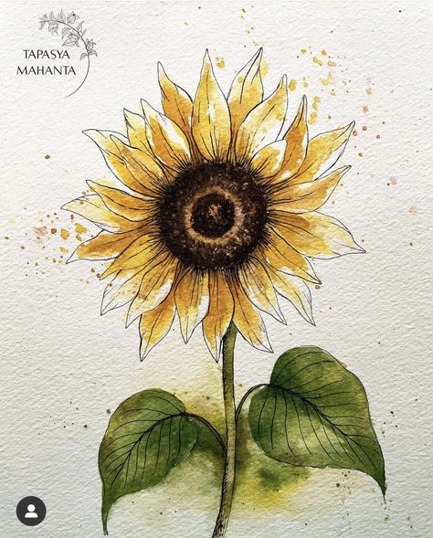 Sunflower Watercolor Painting, Markers Drawing Ideas, Sunflower Drawing, Art Tools Drawing, Sunflower Painting, Watercolor Sunflower, Watercolor Drawing, Autumn Art, Colorful Drawings