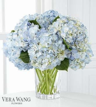 Blue Hydrangea Bouquet, Wedding Flowers Hydrangea, Bouquet Delivery, Hydrangea Arrangements, Hydrangea Bouquet, Blue Wedding Flowers, Flower Arrangements Simple, Flowers For You, Trendy Flowers