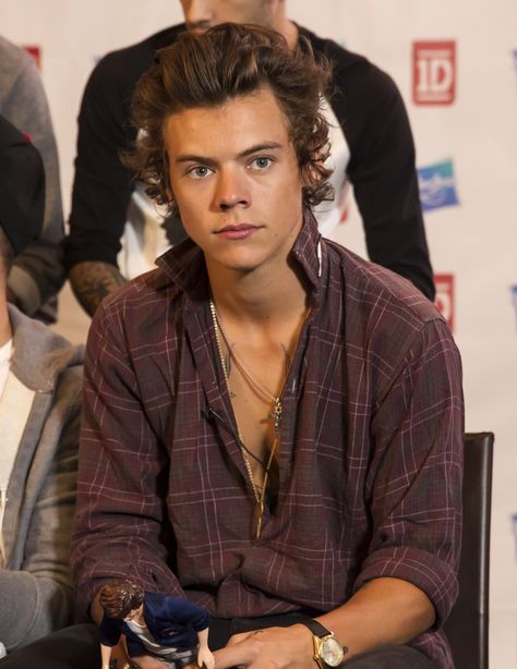 Remember that time when Harry Styles wore his shirt half undone and stared into the distance like... Frat Boy Harry Styles, Harry Styles Dating, Anne Cox, Harry Styles Eyes, Frat Boy Harry, Harry Styles 2013, Harry Styles Tattoos, Harry 1d, Harry Styles Imagines