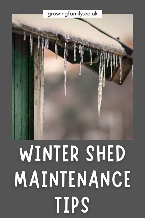 How to maintain your garden shed this winter - Growing Family Timber Garden Sheds, How To Deter Mice, Winter Gardens, Window Hinges, Shed Organization, Shed Doors, Corner Garden, Shed Roof, Growing Family