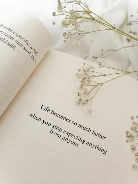 Brown Widget, Feed Filler, Tiny Quotes, Imagination Quotes, Clever Captions For Instagram, Feed Ig, Spirit Quotes, Good Sentences, Beautiful Background