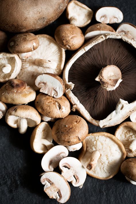 Mixed Mushrooms - raw photography Vegan Food Photography, Ingredients Photography, Mushroom Quinoa, Toasted Quinoa, Vegetables Photography, Mushroom Pie, Food Photography Props, Perfect Lunch, London Food