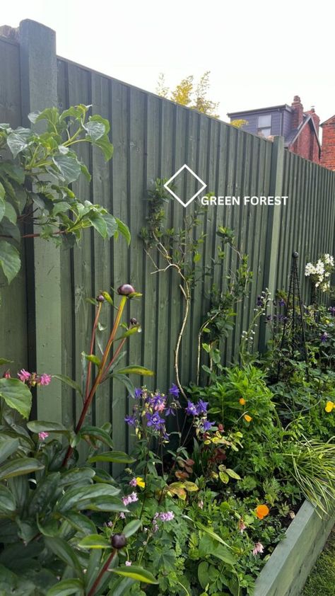 Garden Fence Paint Colour Trends for 2024 - shop.hmgpaint.com Sage Fence Garden, Colored Fence Ideas, Sage Garden Fence, Garden Fence Makeover, Garden Wall Paint Colours, Fence Paint Colours Garden Ideas, Painted Backyard Fence, Green Fence Garden, Painted Fence Ideas Colour