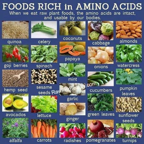 plant amino acids | Plant based foods rich in amino acids ♡ Amino Acids Food, Coconut Quinoa, Cucumber Seeds, Pumpkin Leaves, Nutritious Snacks, 200 Calories, Amino Acid, Eating Raw, Goji Berries