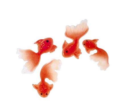 Goldfish Widget, Goldfish Icon, Fish Png, Fish Icon, Screen Icon, Fish Wallpaper, Iphone App Design, Png Icons, Funny Doodles