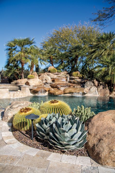 Desert Landscape Around Pool, Pool Desert Landscaping, Dessert Landscape Front Yard, Desert Pool, Desert Landscaping Backyard, Desert Landscape Design, Cactus Garden Landscaping, Landscaping Around Pool, High Desert Landscaping