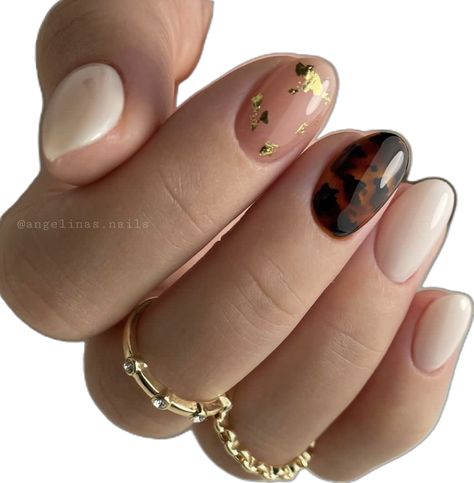 #carey #nails #tortoise Carey Nails, Nail Ideas, Tortoise, Gel Nails, My Style, Nails