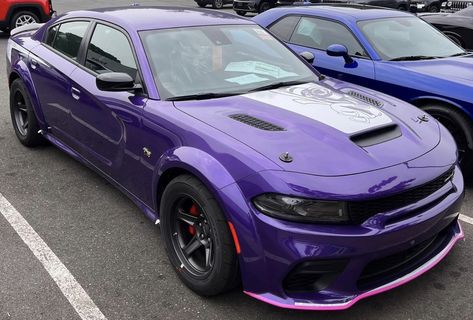 Scatpack Charger, Dodge Charger Super Bee, Charger Srt Hellcat, Dodge Charger Srt, Dodge Muscle Cars, Srt Hellcat, Scat Pack, Wide Body, My Dream Car