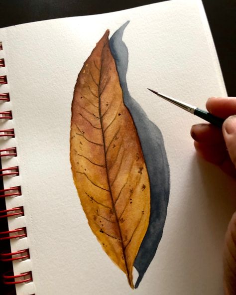 A realistic brown fall leaf painted with watercolors Autumn Leaves Art Drawing, Dry Leaf Painting, Realistic Leaf Drawing, Fall Leaves Painting, Watercolor Tutorial For Beginners, Fall Leaf Art Projects, Leaf Watercolor Painting, Watercolor Fall Leaves, Watercolor Realistic