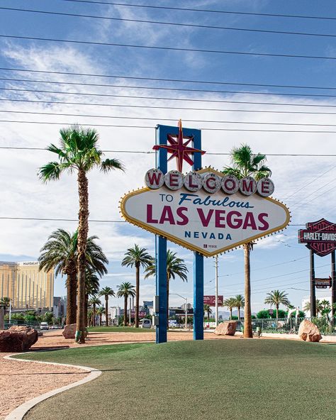 last vegas destinations Best Hotels In Vegas, Last Vegas, Vegas Attractions, Summer Travel Destinations, Las Vegas Sign, Vegas Sign, Las Vegas City, Downtown Las Vegas, Las Vegas Trip