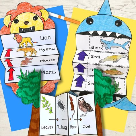 Fun ways to teach food chains - Wonder at the World Food Chain Game, Food Chain Activities, Food Chain Worksheet, Oppgaver For Barn, خريطة ذهنية, School Art Activities, Food Chains, Science Projects For Kids, Vocabulary Activities