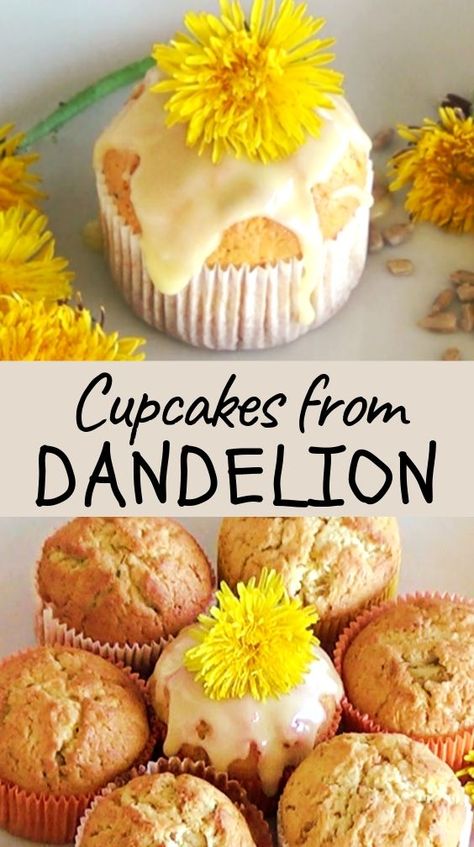 Weird Cupcakes, Dandelion Cupcakes, Forage Recipes, Kitchen Witch Recipes, Edible Flowers Recipes, Wild Foraging, Foraging Recipes, Natural Recipes, Foraged Food