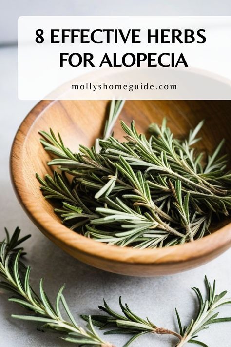 Discover the power of natural remedies for hair growth with herbs for alopecia. From DIY alopecia hair masks to effective Ayurvedic and Chinese herbs, find solutions to help combat hair loss. Explore the benefits of essential oils like rosemary and castor oil for stimulating healthy hair growth. Embrace a holistic approach to treating alopecia with these nourishing treatments that can promote strong, beautiful strands naturally. Say hello to healthier, fuller hair with the wonders of herbal solu Natural Hair Journey Growth, Growing Long Hair Faster, Oil Hair Mask, Alopecia Hairstyles, Unicorn Hair Color, Accelerate Hair Growth, Hair Mask Recipe, Longer Hair Faster, Hair Detox