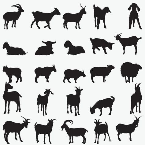 Goat Silhouette, Skeleton Silhouette, Sheep Silhouette, Scratchboard Illustration, Sheep Logo, Vector Animals, Animals With Horns, Goat Logo, Silhouette Drawing