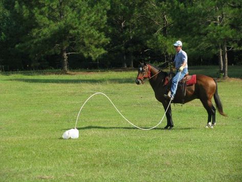 Horse Obstacle Course, Horse Training Exercises, Ranch Riding, Horse Lessons, Horse Exercises, Equestrian Problems, Horse Games, Horse Camp, Reuse And Recycle