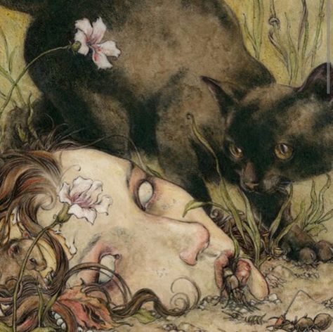 A Cat, Black Cat, A Woman, Flowers, Black