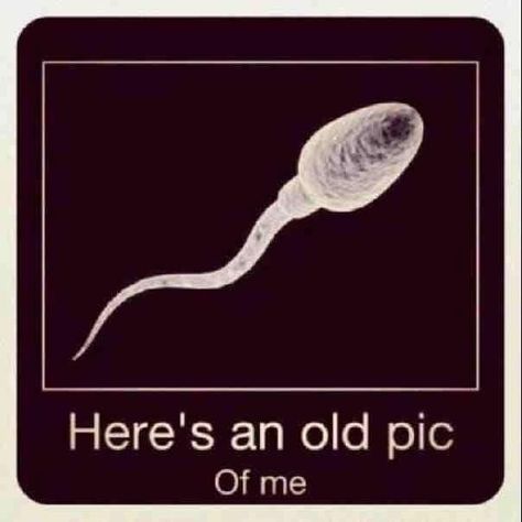 Here's an old pic of me. #Sperm Bones Funny, Old Pictures, Baby Pictures, Make Me Smile, I Laughed, My Pictures, Funny Pictures, Funny Quotes, Funny Memes