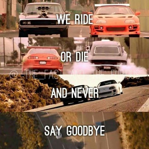 Letty Fast And Furious, Fast Furious Quotes, Fast And Furious Letty, Movie Fast And Furious, Fast And Furious Cast, Fast And Furious Actors, Car Jokes, Dominic Toretto, Furious Movie