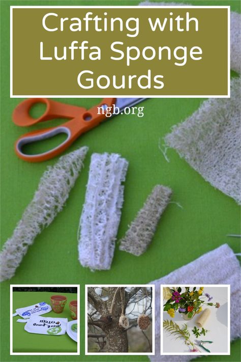 Crafting with Luffa Sponge Gourds - National Garden Bureau - What To Do With Luffa Gourds, Loofah Gift Ideas, Luffa Crafts Ideas, Luffa Gift Ideas, Luffa Sponge Diy, Luffa Recipe, Lufa Sponge, Reconciliation Art, Luffa Gourd